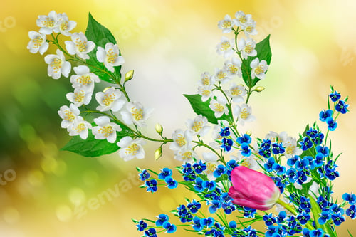 Preview: White Jasmine Flower. The Branch Delicate Spring Flowers