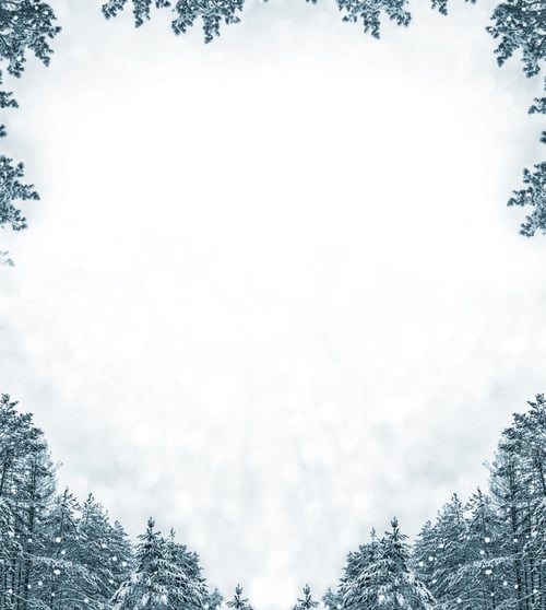Preview: Frozen Winter Forest With Snow Covered Trees.