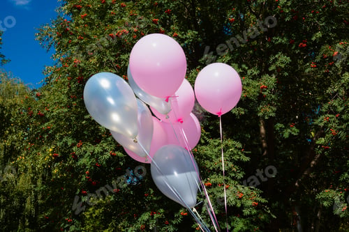 Preview: Multicolored Ballons And Rowan Berry (Sorbus Aucuparia)