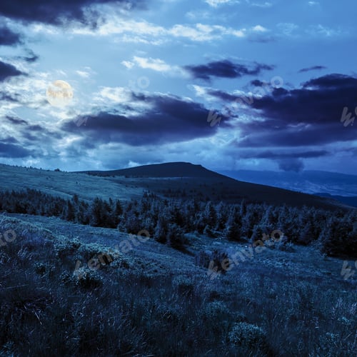 Preview: Mountain Range With Pine Forest On Hillside At Night In Full Moon Light