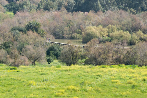Preview: At Ein Afek Nature Reserve, Israel