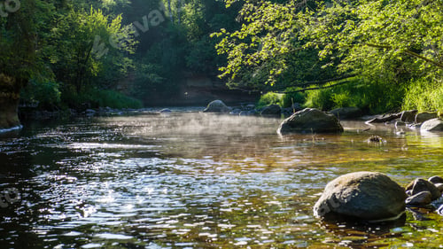 Preview: Summer River With Reflections In Gauja National Park In Latvia