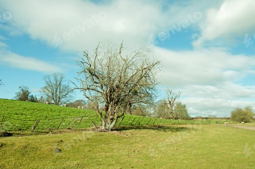 Preview: Craggy Old Fence In The English Countryside.