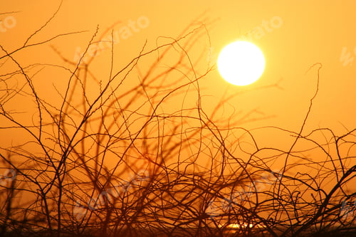 Preview: Beautiful Sunset In Eastern Part Of Queshm Island Iran