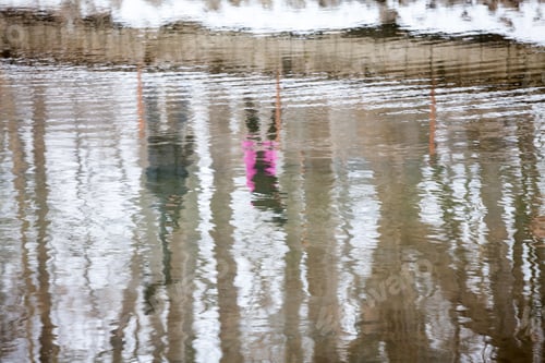 Preview: Winter Landscape In The Park With Water Texture From The Lake And Reflexions Of The Trees And