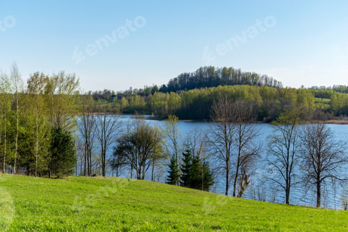 Preview: Lake Shore With Distinct Trees In Green Summer On The Land. Water Seen Through And Green Foliage In