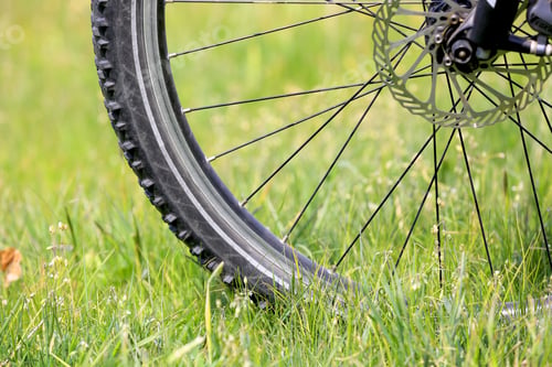 Preview: Bicycle Wheel In The Green Grass