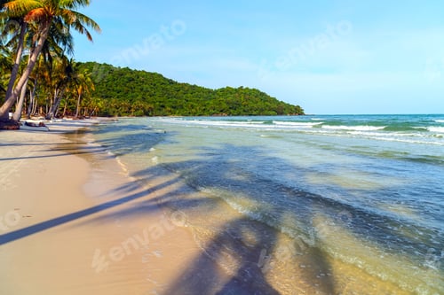 Preview: Tropical Beach At Sunset, Coconut Palm Trees Shadows. Blue Sky And Sea.