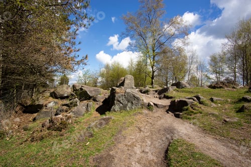 Preview: Boulders On A Hiking Trail