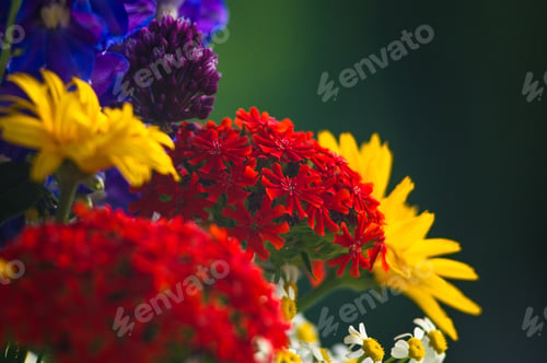 Preview: A Bouquet Of Bright Spring Flowers Of Various Types