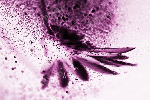 Preview: Abstract Underwater Composition With Dried Flower, Bubbles And Light