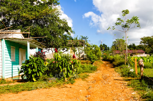 Preview: Old Log Cabin In A Remote Cuban Countryside And Natural Environment. Many Cubans Live In Wooden