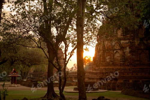Preview: Old Beautiful Thai Temple Wat Mahathat, Ayutthaya Historical Park, Ayutthaya, Thailand