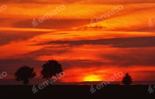 Preview: After Sunset Show