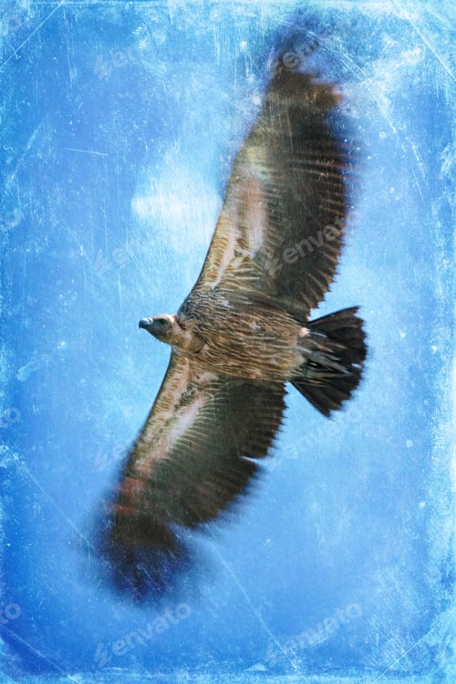 Preview: Vintage Style Image Of A Ruppells Griffon Vulture (Gyps Rueppellii), Maasai Mara Game Reserve, Kenya