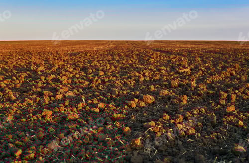 Preview: Plowed Field In Morning Light Closeup, Horizon Blurred