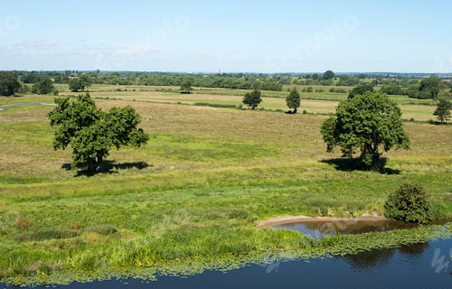 Preview: Flat Countryside Landscape With Trees