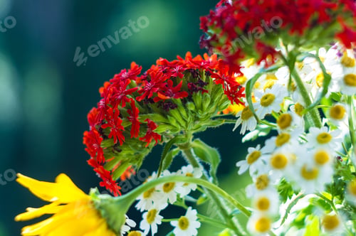 Preview: A Bouquet Of Bright Spring Flowers Of Various Types