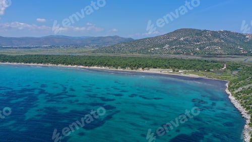 Preview: Aerial Drone Photo From Famous Natural Park And Wetland Of Schinias With Rare Pine Trees And