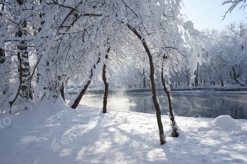 Preview: Winter Landscape In The Park In A Cold, But Sunny Day. High Resolution And Beautiful Snow Details