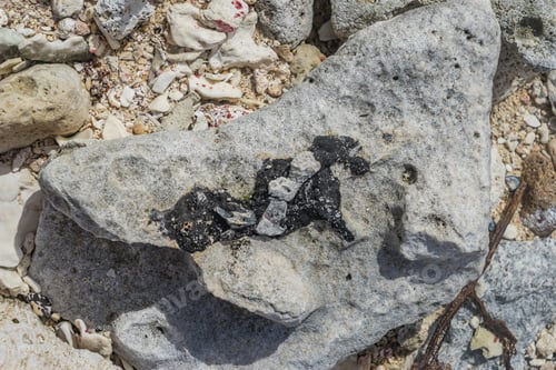 Preview: Oil Spill Clean Up Klein Curacao Island Views Around The Small Caribbean Island Of Curacao