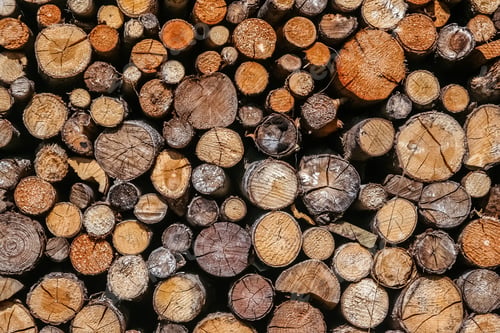 Preview: Firewood Logs Stacked In Piles Outside Cottage