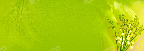 Preview: Spring Landscape. Flowers Lily Of The Valley. Outdoors