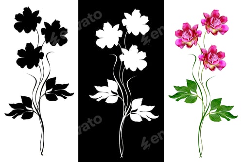 Preview: Colorful Bright Flowers Peonies Isolated On White Background.