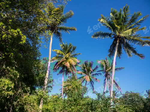 Preview: Walking Around Boca Patrick And The Natural Jacuzzi - Curacao A Tropical Island In The Caribbean