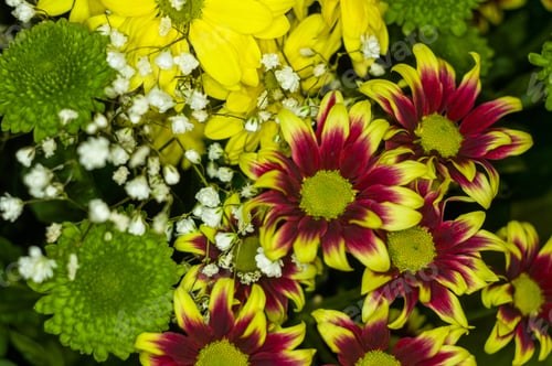 Preview: Beautiful Gift Bouquet Of Various Colorful Decorative Summer Flowers