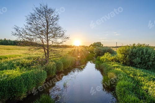 Preview: Calm Summer Day Evening By The Forest Lake In Forest With Blue Water And Clear Sky And Green