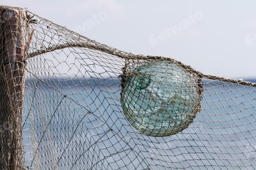 Preview: Muhu Island Coastline