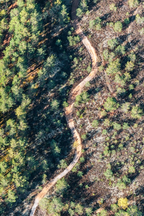 Preview: Aerial View Over The Deforested Area