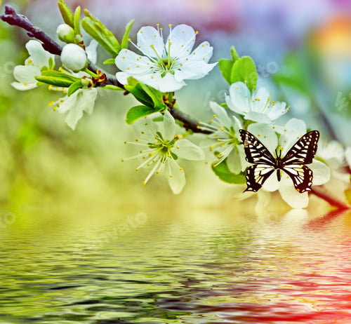 Preview: Blossoming Branch Cherry. Bright Colorful Spring Flowers