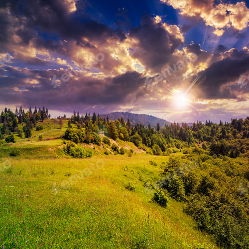 Preview: Mountain Summer Landscape. Pine Trees Near Meadow And Forest On Hillside Under Sky With Clouds At