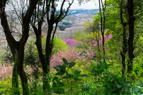 Preview: Trastevere Neighbourhood From Gianicolo Hill In Rome City Of Italy In Europe