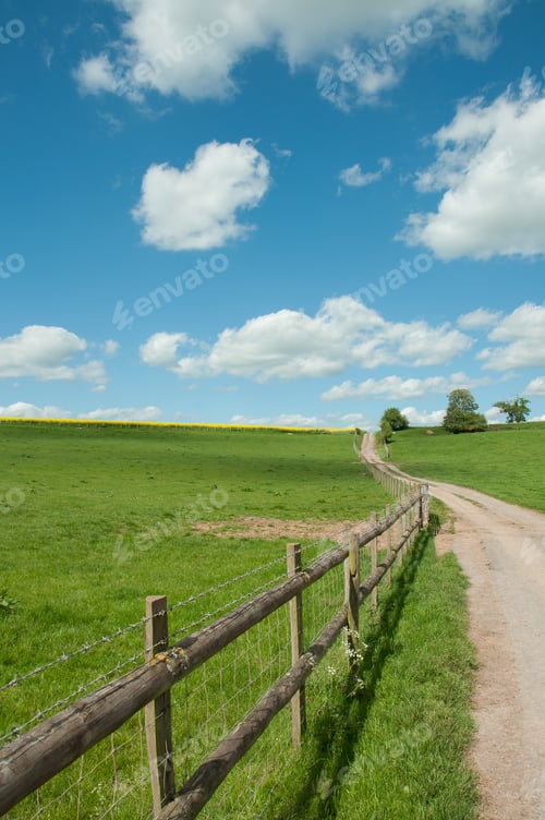 Preview: Cattle Ranch In The Summertime.