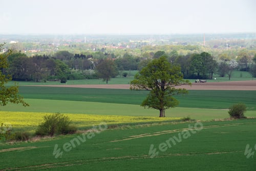 Preview: Spring Landscape In Reinsen , Schaumburg