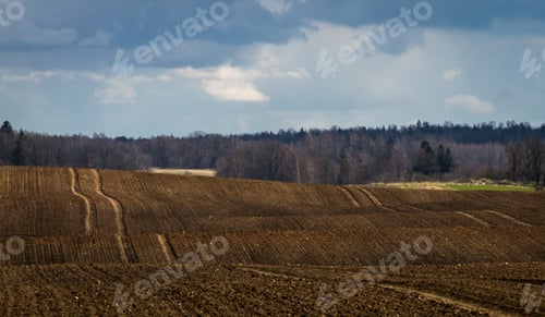 Preview: Processed Cereal Fields In Spring