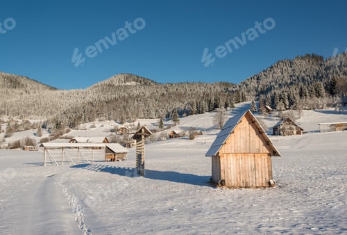 Preview: Sunrise In The Winter Forest In Slovenia.