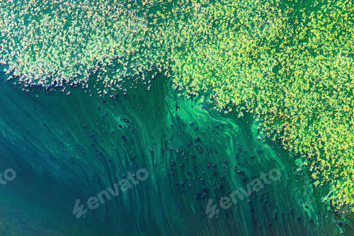 Preview: Aerial View Over The River