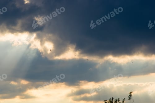Preview: Landscape With Dramatic Light - Orange Clouds And The Outline Of Trees At Sunset
