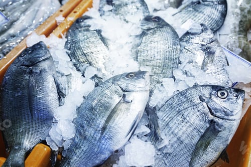Preview: Fresh Fish In A Market, Detail Of An Old Fishmonger, Healthy Food, Sea Fish