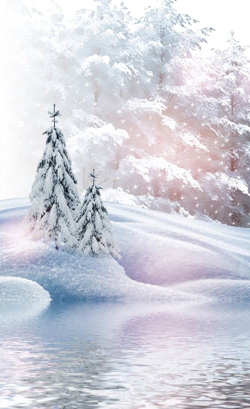Preview: Winter Landscape