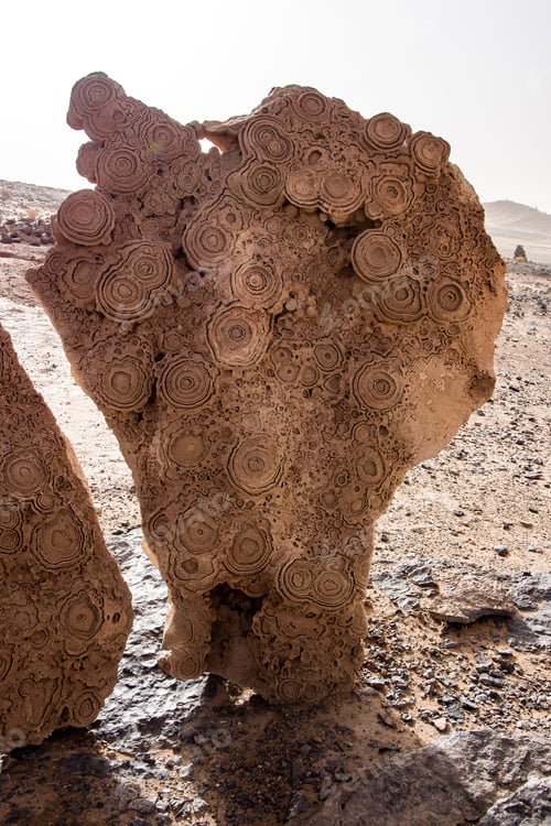 Preview: The Dessert Of Erg Chebbi In Morocco
