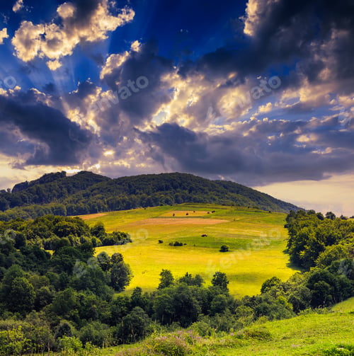 Preview: Valley Near Forest On A Steep Mountain Slope After The Rain In Evening Mood