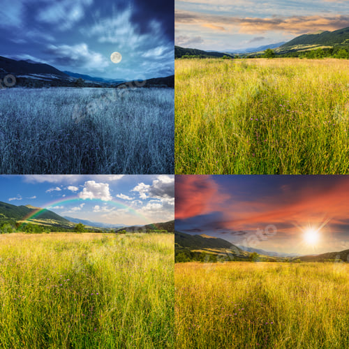Preview: Day And Night Collage Of Composite Mountain Summer Landscape. Meadow With Wild Flowers In Mountains