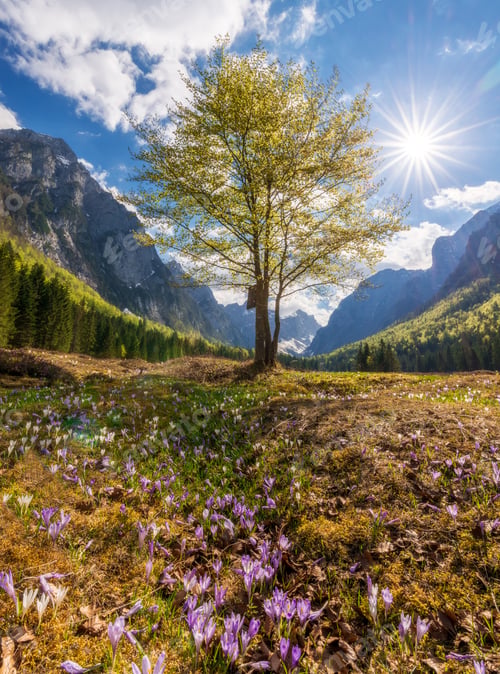 Preview: Krma Valley Is A Beautiful Mountain Valley, Especially Beautiful In Spring Time