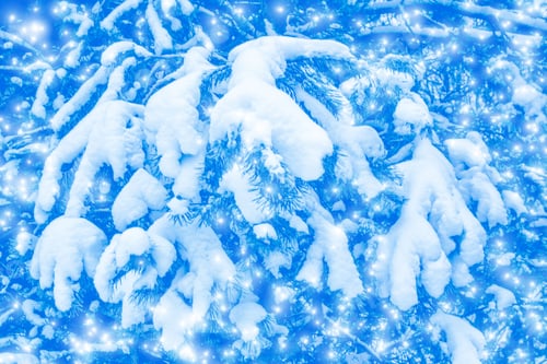 Preview: Frozen Winter Forest With Snow Covered Trees.