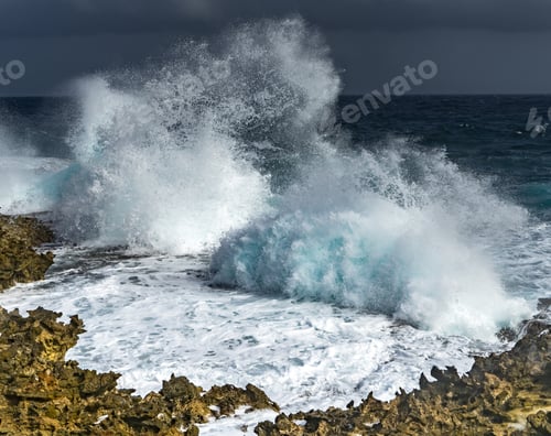 Preview: Christoffel Park - Views Around The Caribbean Island Of Curacao